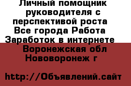 Личный помощник руководителя с перспективой роста - Все города Работа » Заработок в интернете   . Воронежская обл.,Нововоронеж г.
